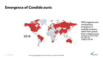 Map of Candida Auris emergence